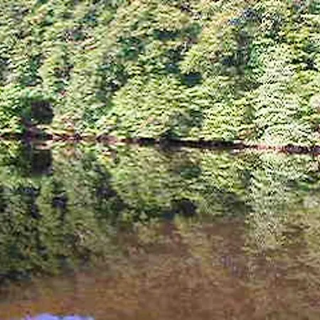 A Neris-les-bains, 20 M², Avec Terrasse C