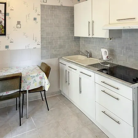 A Neris-les-bains, 20 M², Avec Terrasse C アパート *
